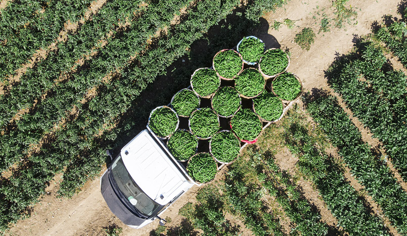 陜西汽車控股集團有限公司